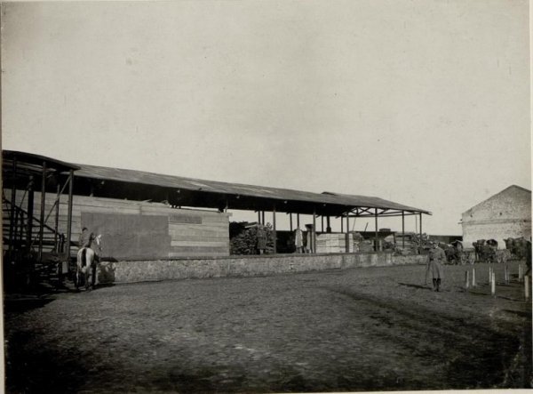 В інтернеті з’явилися унікальні історичні фото Луцька. ФОТО