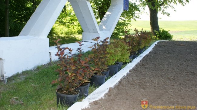 Волиняни розмалювали в'їзний знак рідного міста та висадили біля нього квіти. ФОТО