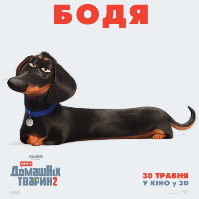 У «PremierCity» відбудеться допрем'єрний показ мультфільму «Секрети домашніх тварин 2»*