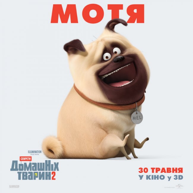 У «PremierCity» відбудеться допрем'єрний показ мультфільму «Секрети домашніх тварин 2»*