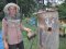 «Придбав спочатку 4 сім’ї та 4 вулики – тепер це вже ціла пасіка»: волинянин 14 років присвятив бджолярству 