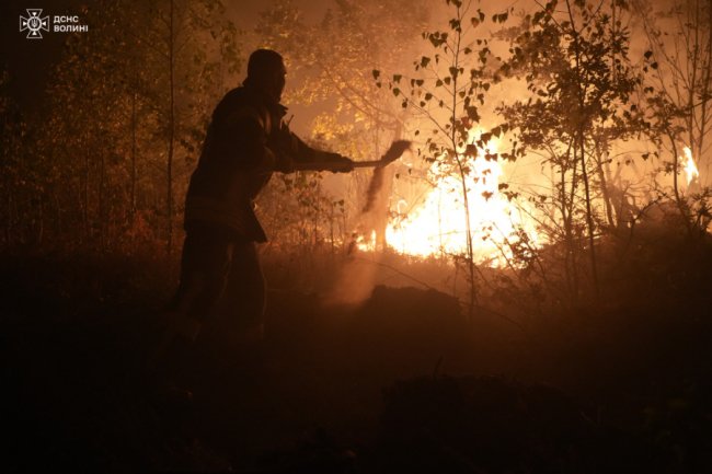 У Луцькій громаді горить ліс: на пожежі працюють 40 рятувальників. ВІДЕО