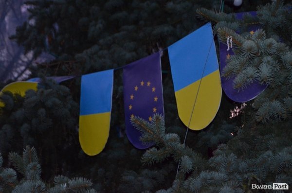 У Луцьку засвітили головні ялинки міста. ФОТО 