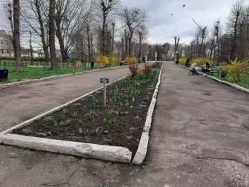 У містечку на Волині проігнорували толоку біля пам’ятника Героям