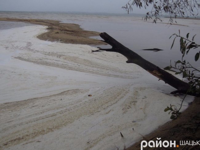 Самотній і чудернацький: оприлюднили фото осіннього Світязю