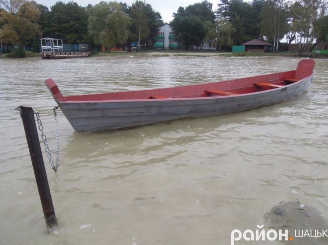 Самотній і чудернацький: оприлюднили фото осіннього Світязю