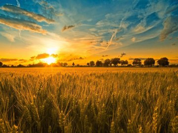 Погода в Луцьку та Волинській області на вихідні, 2 і 3 червня