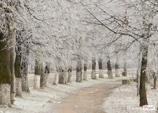 Передноворічний Луцьк убрався в іній. ФОТО