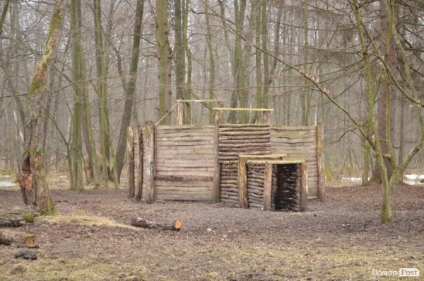 «Межигір'я» по-волинськи: екскурсія лісовими маєтками