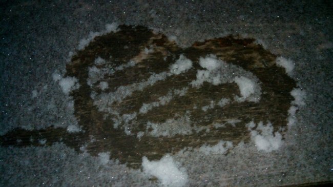 Лучани радіють першому снігу. ФОТО