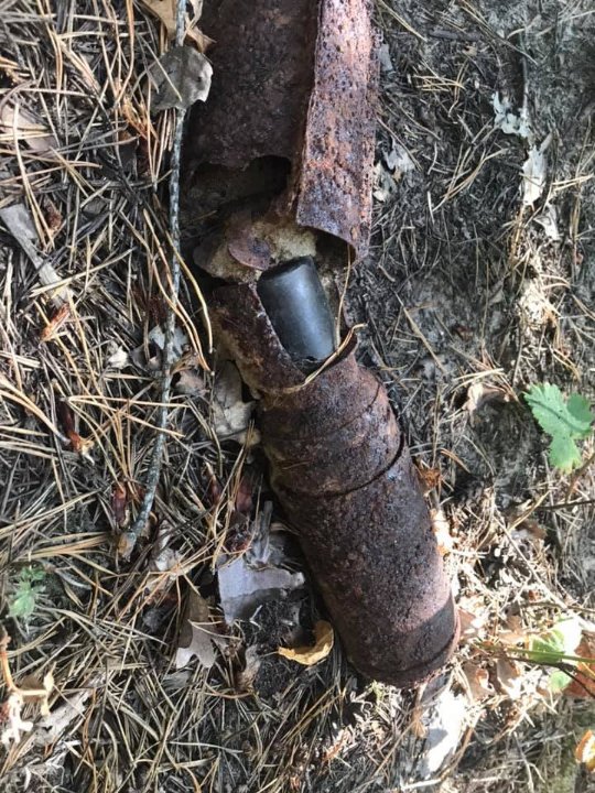 На Волині грибники знайшли у лісі снаряд. ФОТО