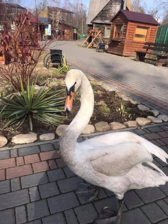 У луцькому зоопарку – весняне оновлення. ФОТО