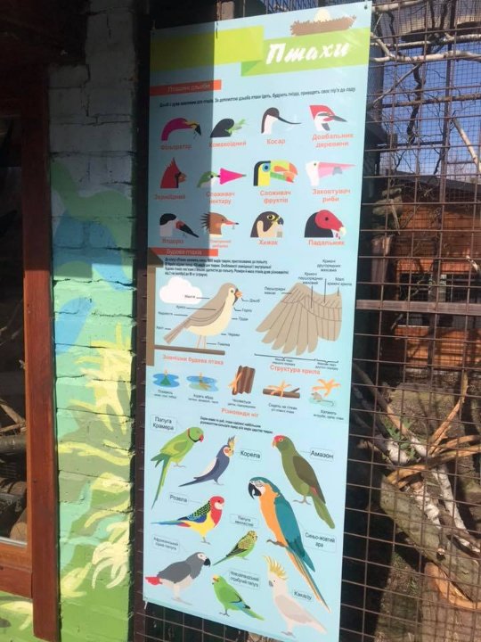 У луцькому зоопарку – весняне оновлення. ФОТО