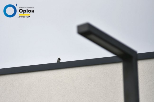 Будівельна компанія «Інвестор» закінчила благоустрій території ЖК «Оріон»*