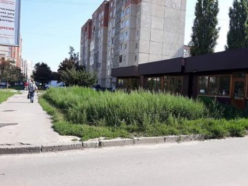 У Луцьку кіоски «горе-підприємців» поросли бур'яном. ФОТО