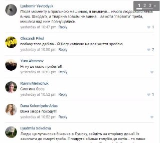 У Луцьку викрили двох підлітків, які жорстоко знущалися над котом. ВІДЕО