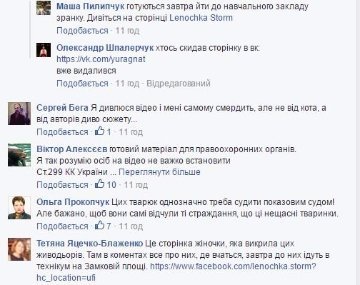 У Луцьку викрили двох підлітків, які жорстоко знущалися над котом. ВІДЕО