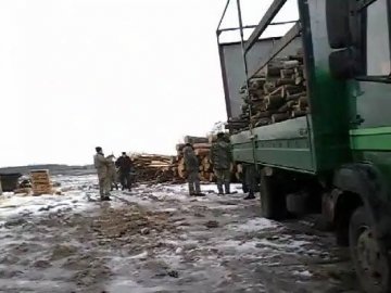 В Маневицькому районі активісти затримали партію незаконно вирубаного дуба. ДОПОВНЕНО^