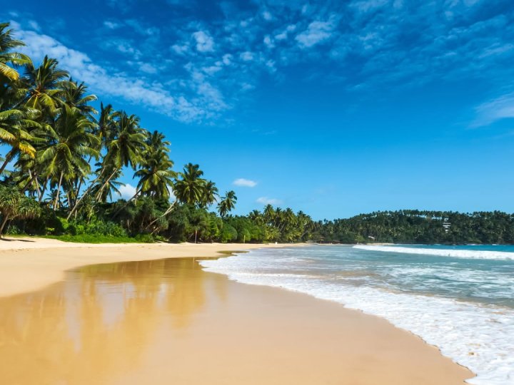 Зимова відпустка на Шрі Ланці: найкращі курорти та розваги