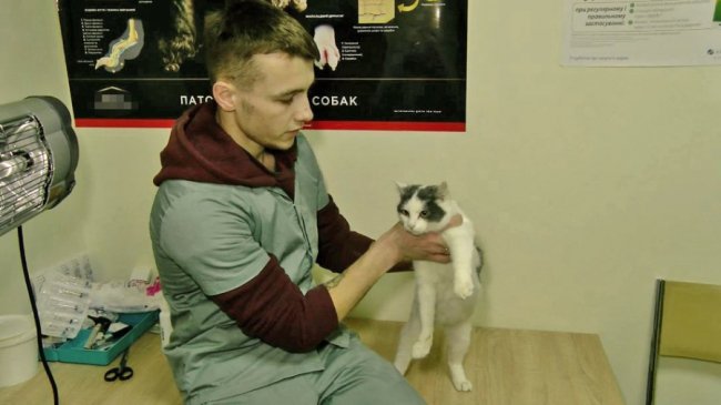Херсонець у Луцьку відкрив ветеринарну клініку. ФОТО. ВІДЕО