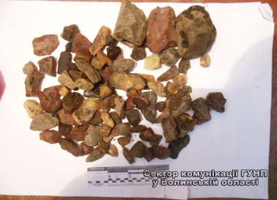 На Волині у чоловіка вилучили зброю, гроші та бурштин. ФОТО