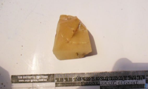 На Волині у чоловіка вилучили зброю, гроші та бурштин. ФОТО