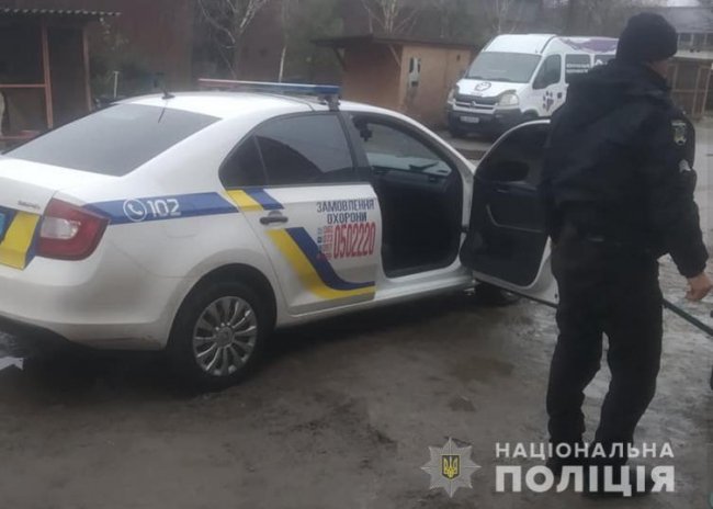 У Луцьку поліцейські врятували цуценя, яке на дорозі збила автівка