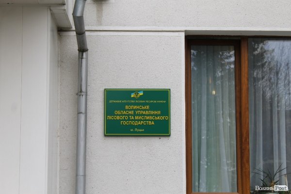 «Якщо жінка забеременніла в лісі, то що, лісники мають аліменти платити?» - головний лісівник Волині