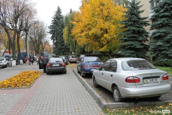 «Якщо жінка забеременніла в лісі, то що, лісники мають аліменти платити?» - головний лісівник Волині