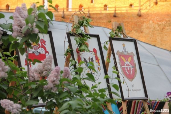 «Ніч музеїв» у Луцьку. ФОТО