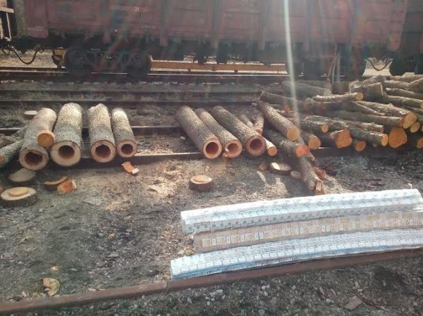 Партія цигарок, яку виявили на Волині, може стати найбільшою контрабандою. ФОТО