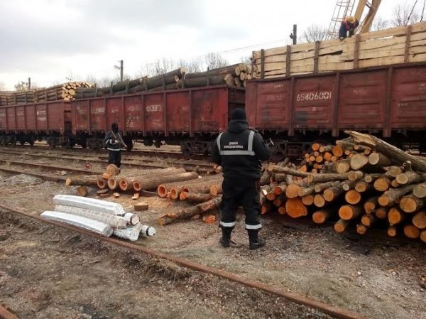 Партія цигарок, яку виявили на Волині, може стати найбільшою контрабандою. ФОТО