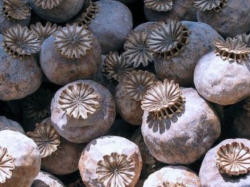 На Волині чоловік торгував маковою соломою