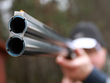 На Любомльщині браконьєри вбили лося