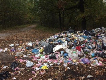 У Ківерцівському районі знайшли львівське сміття. ФОТО