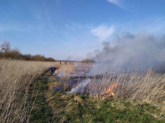 Волинські рятувальники ліквідували 14 пожеж сухої трави