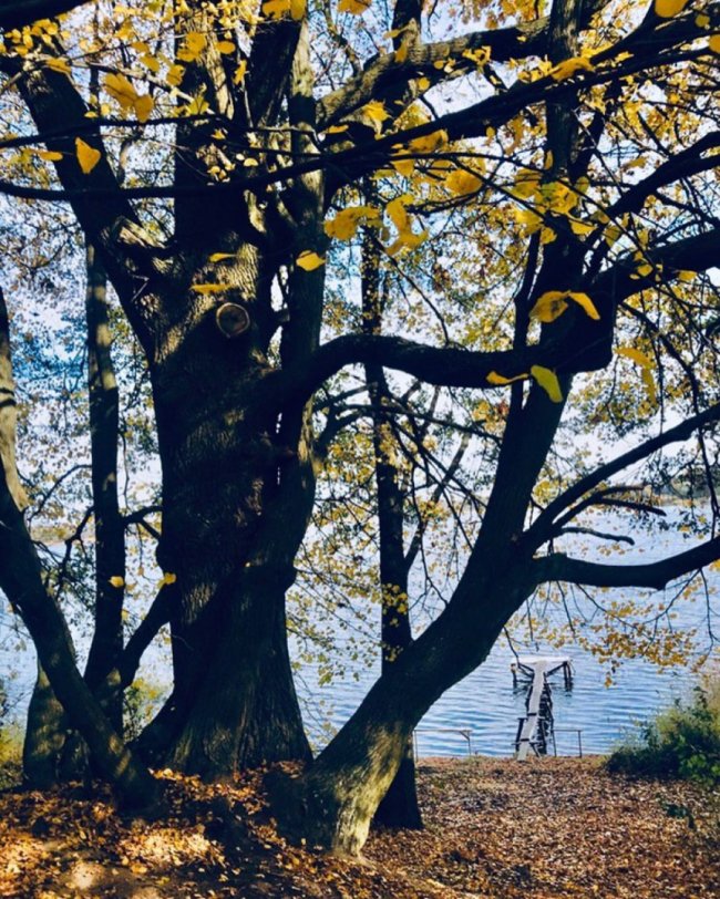 Осіння магія Шацьких озер. ФОТО