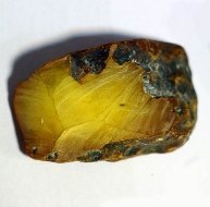 Контрабандист у рясі: священик скуповував і перепродував бурштин