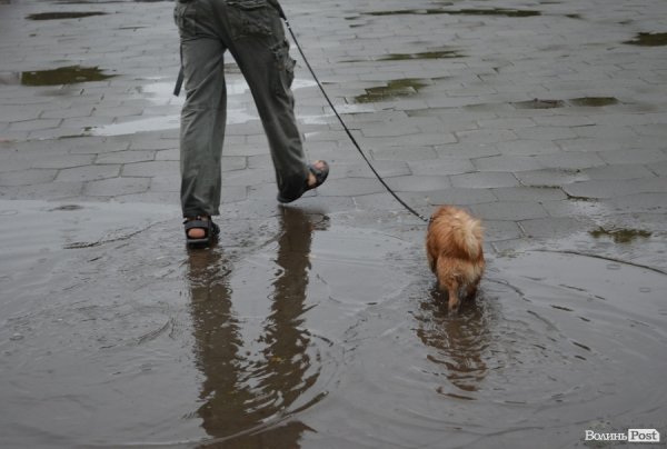 «Проспект розваг» у Луцьку відбувся попри дощову погоду. ФОТО