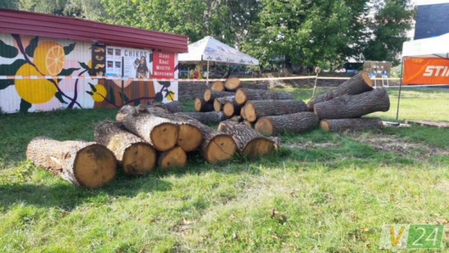  У Луцьку проходить чемпіонат із різьби по дереву. ФОТО