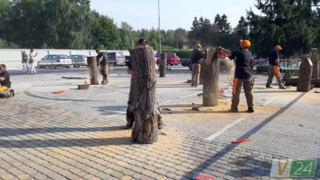  У Луцьку проходить чемпіонат із різьби по дереву. ФОТО