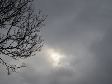 Прогноз погоди у Луцьку на 19 листопада