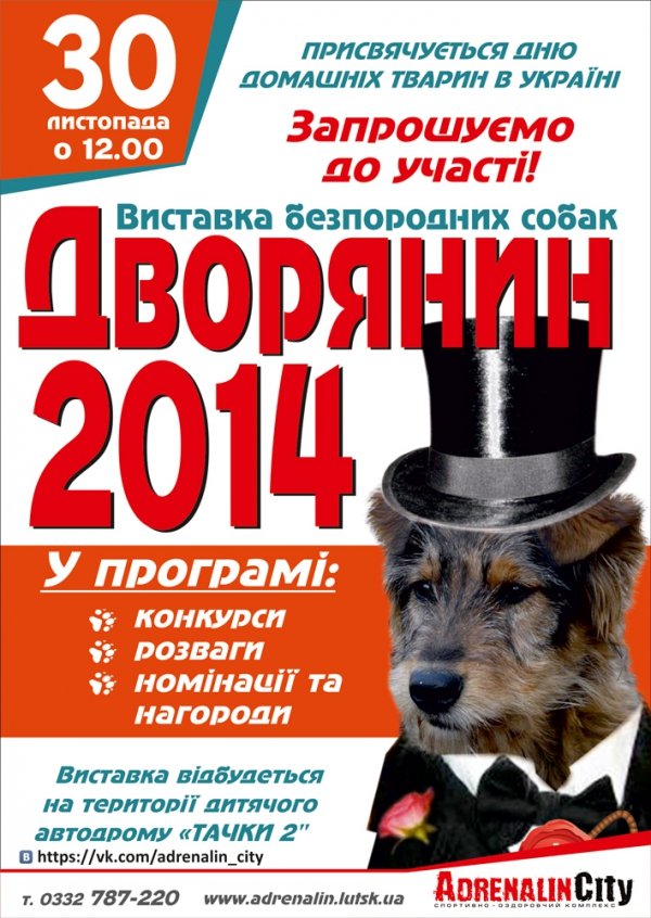 У Луцьку організовують виставку безпородних собак