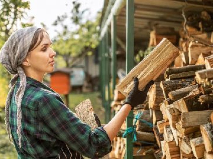 Небачений ажіотаж: ціни на дрова за рік підскочили удвічі