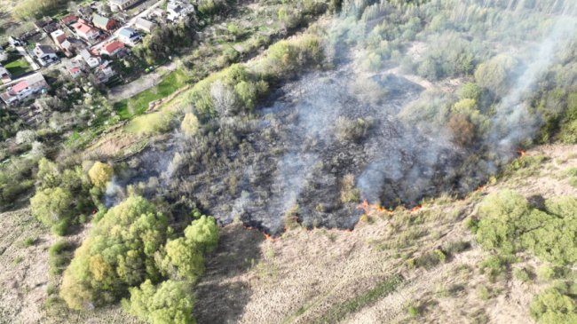 У Луцьку – пожежа сухостою на Гнідавському болоті