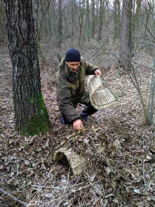 На острові, що посеред Світязю, з'явилися штучні гнізда для качок. ФОТО