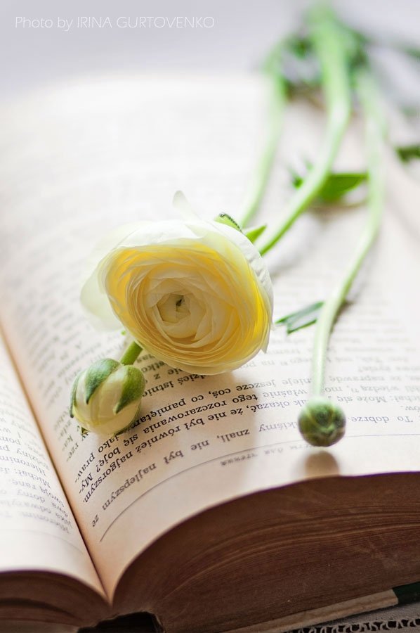 Фотовиставка Ірини Гуртовенко