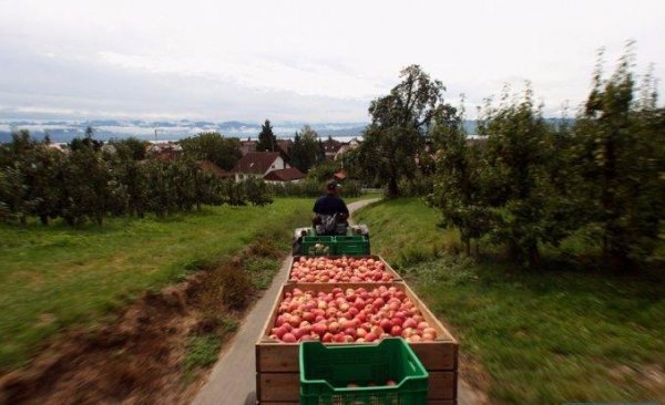 Скільки і що отримують лучани-заробітчани у Польщі? 