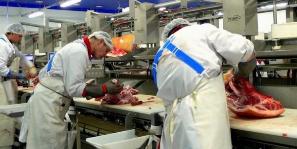 Скільки і що отримують лучани-заробітчани у Польщі? 