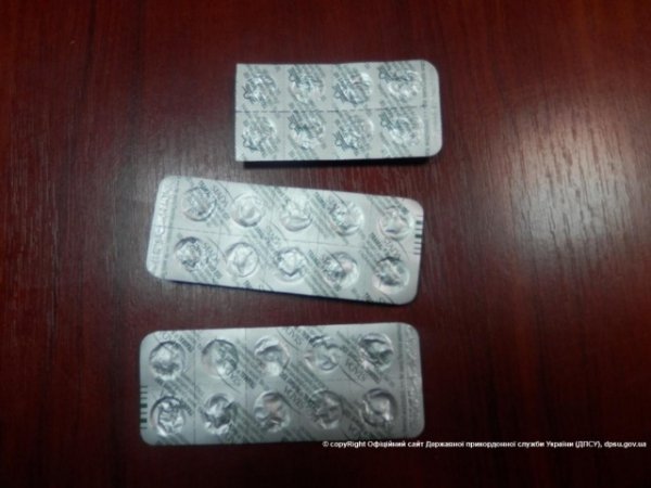 Спаніель Терро зупинив переміщення наркотиків через кордон